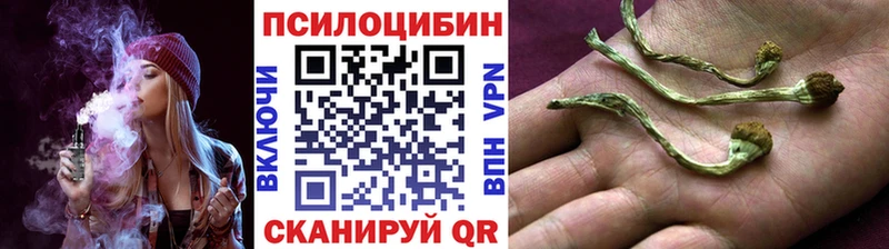 Галлюциногенные грибы GOLDEN TEACHER  Купить закладки  Ишимбай 