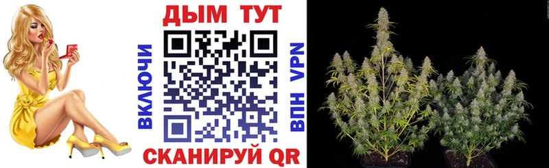 Бошки Шишки ГИДРОПОН  Купить где  Ишимбай 